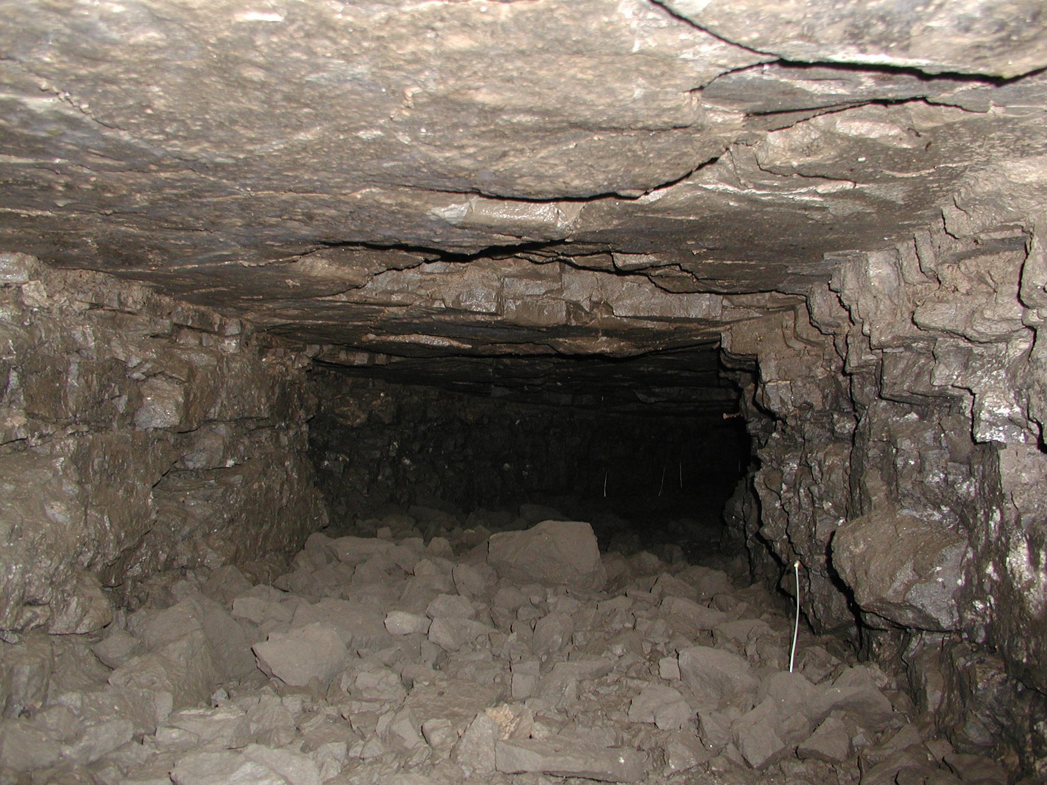 Tunnel under East Ave (9)